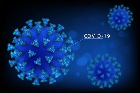 Pesquisadores encontram anticorpo que neutraliza coronavírus