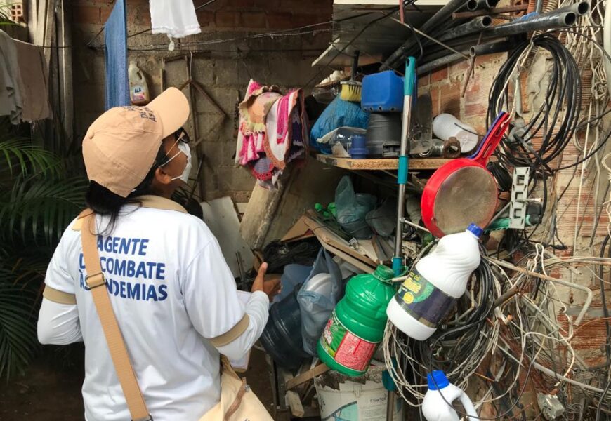 Casos de Dengue e Chikungunya aumentam e Saúde alerta sobre necessidade de cuidados