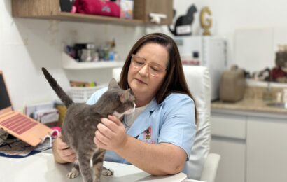 Infecção urinária em gatos: saiba como identificar e tratar o problema