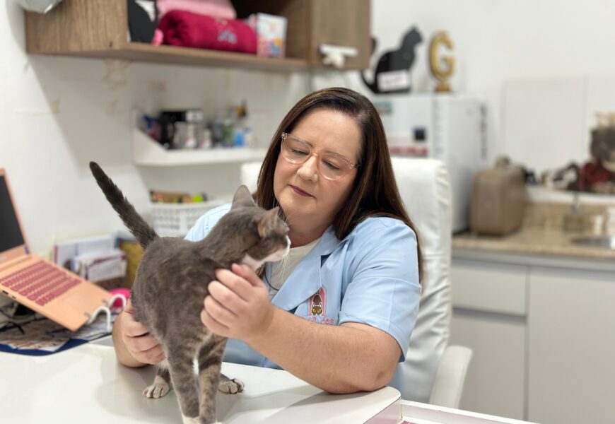 Infecção urinária em gatos: saiba como identificar e tratar infecção o problema