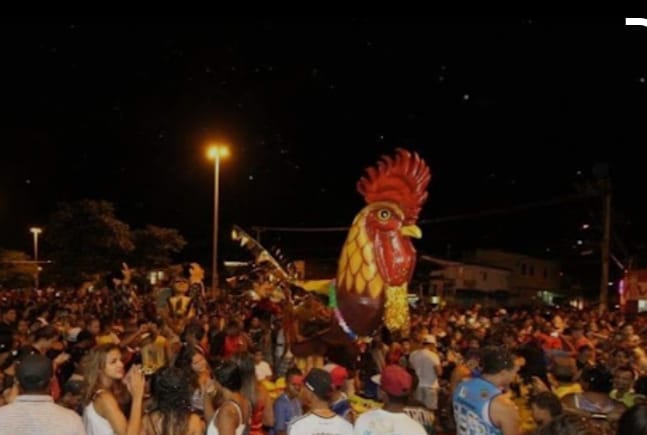 Galo do Augusto Franco: 15 anos de tradição e alegria para toda família