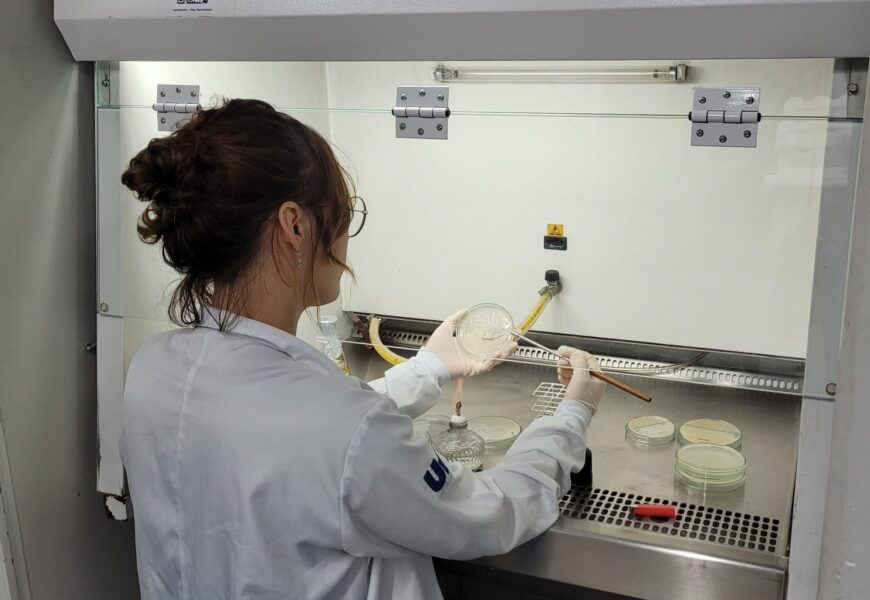 Pesquisa estuda a produção de nanopartículas a partir de bacilos da areia de praia