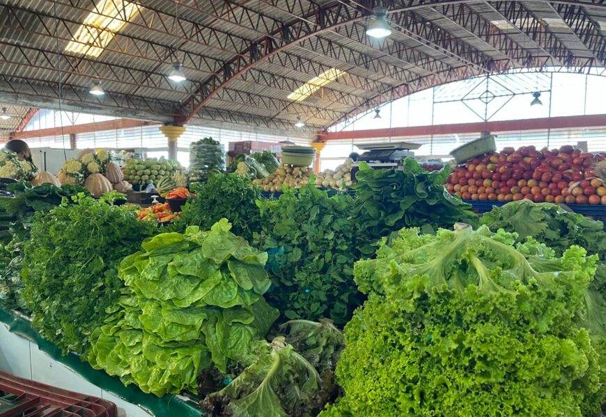 Nutricionista do Ipesaúde destaca a importância da alimentação para manutenção de uma vida saudável