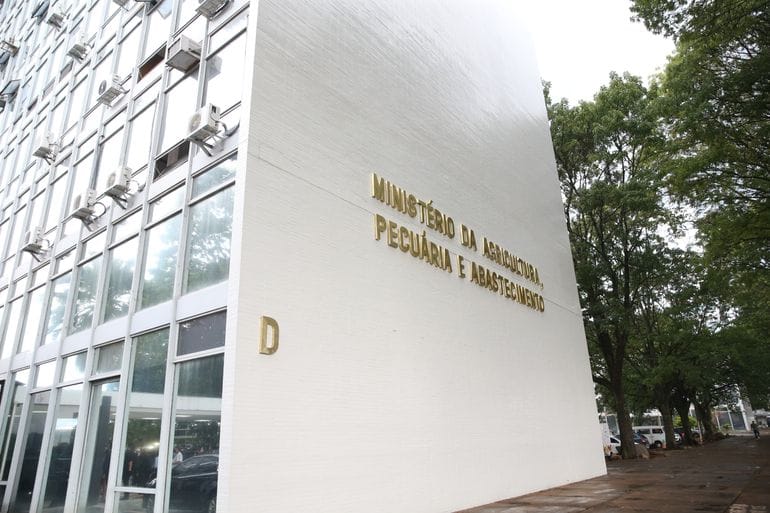 Gracho Cardoso (SE) tem resultado negativo para gripe aviária, confirma Ministério da Agricultura*