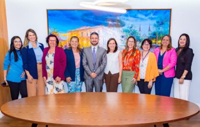 SerMulher participa de reunião sobre Projeto de Lei de reeducação de autores de violência contra a mulher