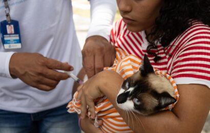 SECRETARIA DE SAÚDE DE ARACAJU CONVOCA TUTORES PARA VACINAR SEUS PETS CONTRA A RAIVA ATÉ 1º DE NOVEMBRO SECRETARIA DE SAÚDE DE ARACAJU CONVOCA TUTORES PARA VACINAR SEUS PETS CONTRA A RAIVA ATÉ 1º DE NOVEMBRO