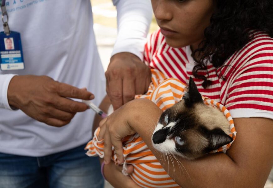 SECRETARIA DE SAÚDE DE ARACAJU CONVOCA TUTORES PARA VACINAR SEUS PETS CONTRA A RAIVA ATÉ 1º DE NOVEMBRO